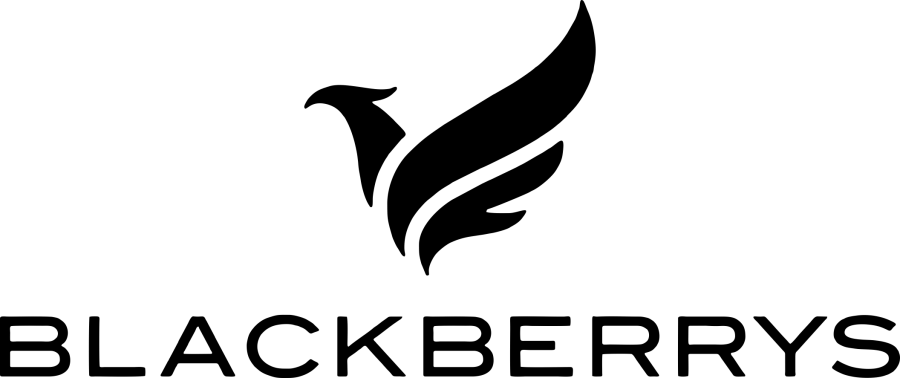BLACKBERRYS logo